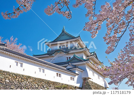 【和歌山城】 和歌山県和歌山市 【和歌山城】 和歌山県和歌山市 117518179