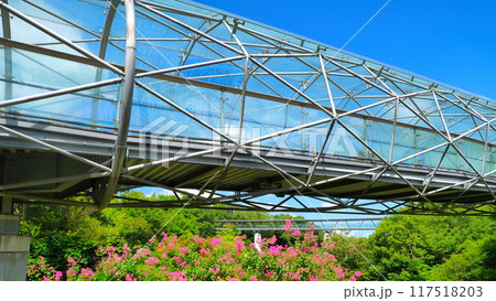 とっとり花回廊11（8月） 117518203