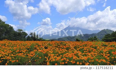 とっとり花回廊19（8月） 117518211