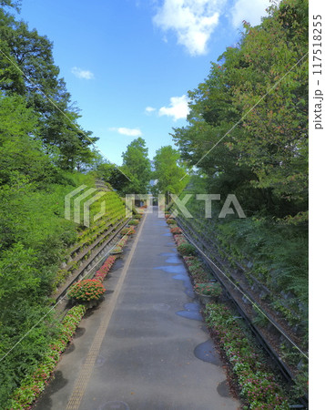 とっとり花回廊26（8月） 117518255