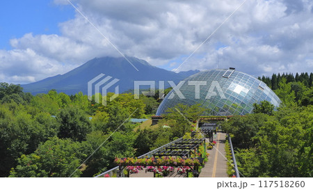 とっとり花回廊31（8月） 117518260