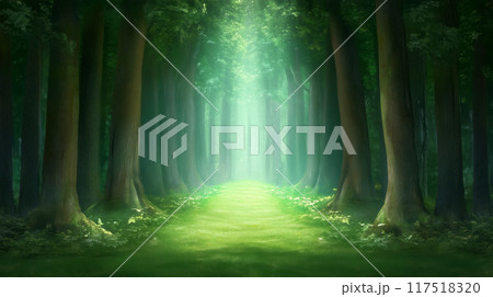 Sunlit forest path surrounded by tall trees and lush greenery, copy space 117518320