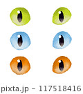 水彩風な猫の目のイラスト 117518416