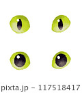 水彩風な猫の目のイラスト 117518417