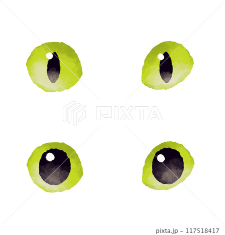 水彩風な猫の目のイラスト 117518417