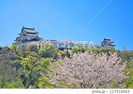 【和歌山城】 和歌山県和歌山市 【和歌山城】 和歌山県和歌山市 117518883