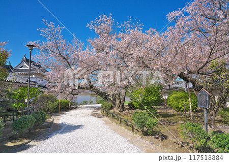 【和歌山城】 和歌山県和歌山市 117518884