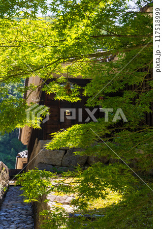愛媛県松山市　日本100名城　松山城　 117518999