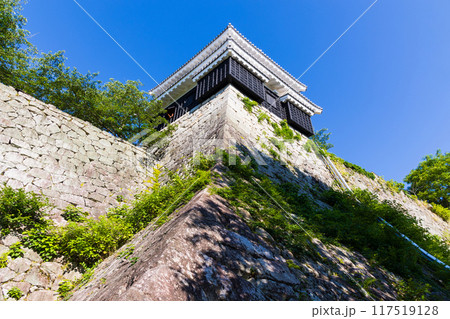 愛媛県松山市 日本100名城 松山城 愛媛県松山市 日本100名城 松山城 117519128