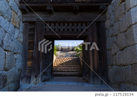 愛媛県松山市 日本100名城 松山城 愛媛県松山市 日本100名城 松山城 117519134