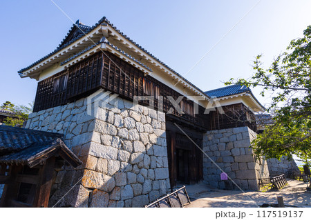愛媛県松山市 日本100名城 松山城 愛媛県松山市 日本100名城 松山城 117519137