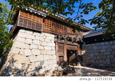 愛媛県松山市 日本100名城 松山城  愛媛県松山市 日本100名城 松山城  117519138