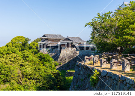 愛媛県松山市 日本100名城 松山城  愛媛県松山市 日本100名城 松山城  117519141