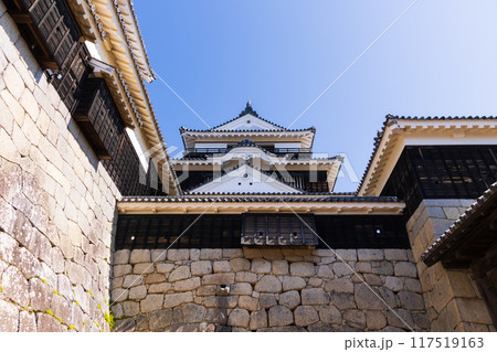 愛媛県松山市　日本100名城　松山城　大天守 117519163