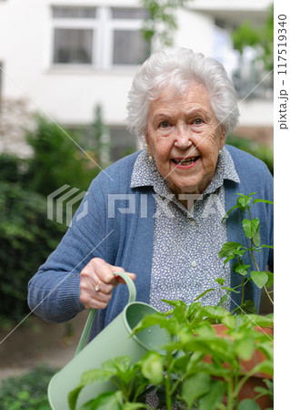 Portrait of senior woman taking care of plants in garden. Watering seedlings with harvested rainwater. 117519340