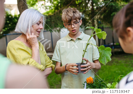 Children learning about vegetable seedlings and gardening at outdoor sustainable education class in school garden. Concept of experiential learning and ecoliteracy. 117519347