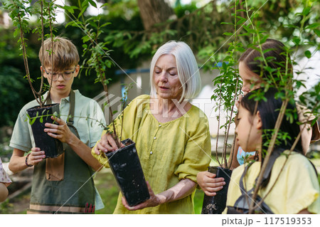 Kids learning about fruit tree seedling and fruit bushes, taking care of school garden during outdoor sustainable education, class in forest school. Concept of experiential learning and ecoliteracy. 117519353