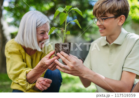 Teacher and young schoolboy during outdoor sustainable education, lesson in forest school. Planting vegetable seedling in soil. Concept of experiential learning and ecoliteracy. Teacher and young schoolboy during outdoor sustainable education, lesson in forest school. Planting vegetable seedling in soil. Concept of experiential learning and ecoliteracy. 117519359