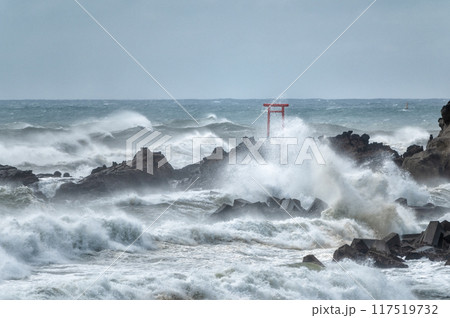 荒れる波立海岸弁天島 荒れる波立海岸弁天島 117519732