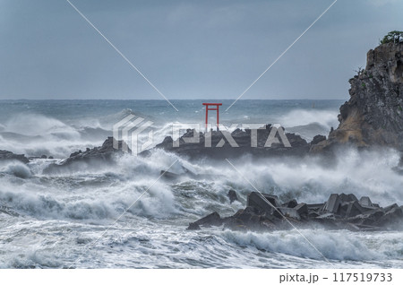 荒れる波立海岸弁天島 荒れる波立海岸弁天島 117519733