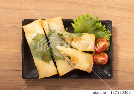 エビと明太子とじゃがいも入り春巻き 117520309