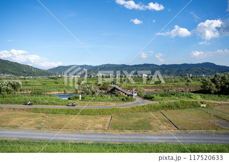 日本の夏 117520633