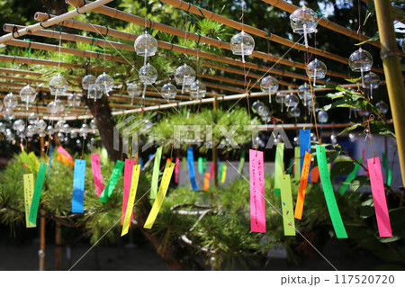 風鈴　夏　納涼　風物詩 117520720