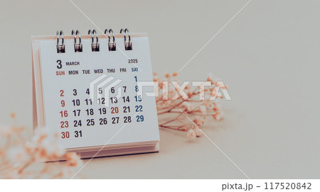 2025年3月の卓上カレンダー カレンダーと花 2025年3月の卓上カレンダー カレンダーと花 117520842