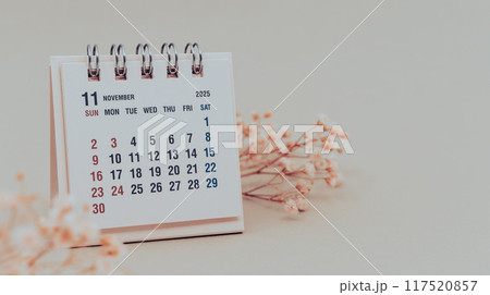 2025年11月の卓上カレンダー カレンダーと花 2025年11月の卓上カレンダー カレンダーと花 117520857