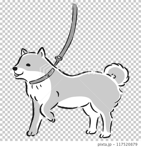一隻柴犬散步的手繪插圖 117520879