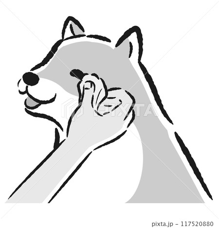 目元のケア（目ヤニの拭きとり）をする犬の手描きイラスト 117520880