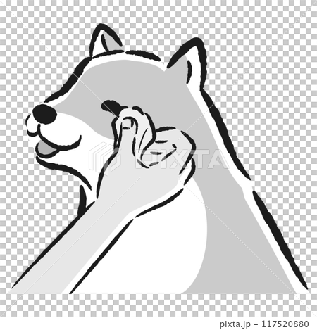 目元のケア（目ヤニの拭きとり）をする犬の手描きイラスト 117520880