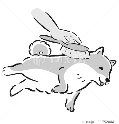 犬をブラッシングするイラスト 117520881