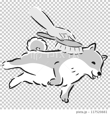 犬をブラッシングするイラスト 117520881