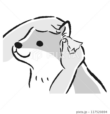 犬の耳掃除の手描きイラスト 117520894