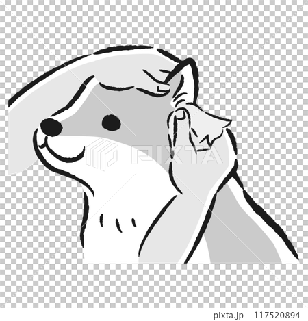 犬の耳掃除の手描きイラスト 117520894