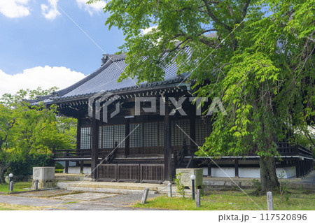 夏の京都　妙満寺　大書院 117520896