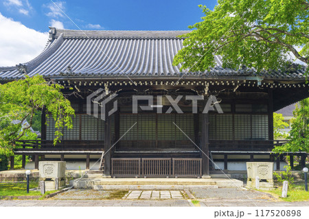 夏の京都　妙満寺　大書院 117520898