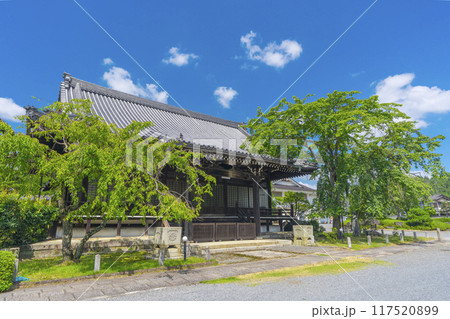 夏の京都 妙満寺 大書院 夏の京都 妙満寺 大書院 117520899