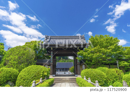 夏の京都 妙満寺 参道と山門 夏の京都 妙満寺 参道と山門 117520900