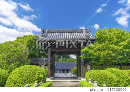 夏の京都 妙満寺 参道と山門 夏の京都 妙満寺 参道と山門 117520901