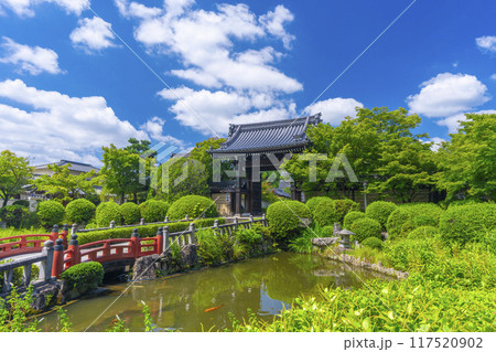夏の京都　妙満寺　参道と山門 117520902