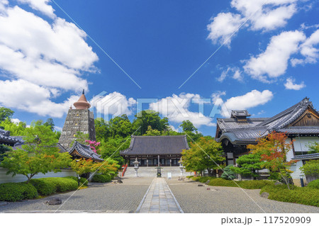 夏の京都　妙満寺　本堂 117520909