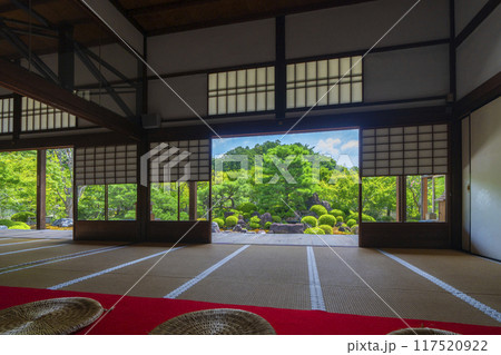 夏の京都　妙満寺　庭園「雪の庭」 117520922