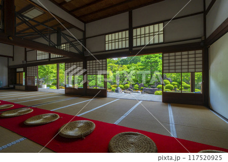 夏の京都　妙満寺　庭園「雪の庭」 117520925