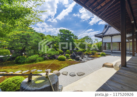 夏の京都　妙満寺　庭園「雪の庭」 117520926