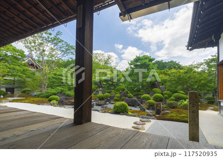 夏の京都　妙満寺　庭園「雪の庭」 117520935