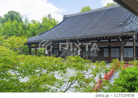 夏の京都 妙満寺 本堂 夏の京都 妙満寺 本堂 117520936