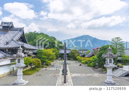夏の京都　妙満寺　本堂から見える境内 117520939