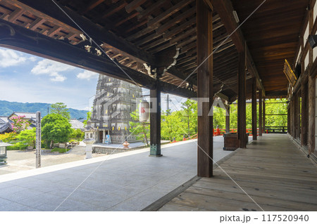 夏の京都 妙満寺 本堂から見える境内 夏の京都 妙満寺 本堂から見える境内 117520940